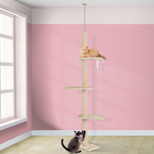 Kratzbaum, Boden bis zur Decke, Beige, 230 - 286 cm