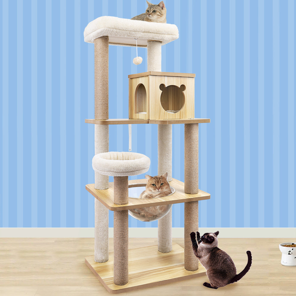 Kratzbaum, Holz, Condo-Hausbett – 143 cm