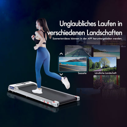 BLACK LORD Elektrisches Laufband Geh-Pad Zuhause Büro Fitnessstudio Fitness, Silber